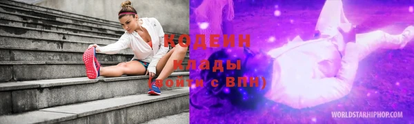 гидропоника Инта