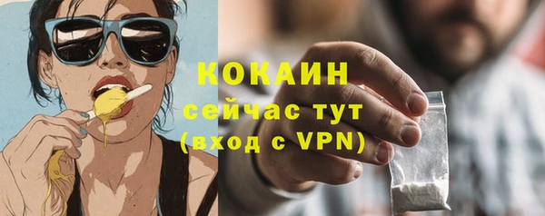 гидропоника Инта