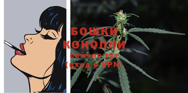 гидропоника Инта