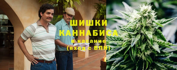 гидропоника Инта
